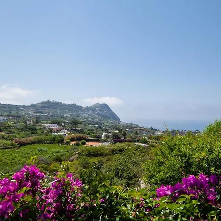 فيلة Con Giardino Esclusivo Di 1000 Mq, Piscina, Tennis, Calcio, Bocce