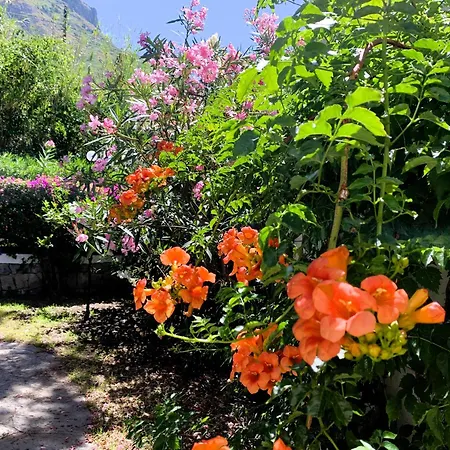 Con Giardino Esclusivo Di 1000 Mq, Piscina, Tennis, Calcio, Bocce * Forio di Ischia